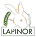 Partner 6